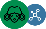 Illustration of Merino and nylon blend